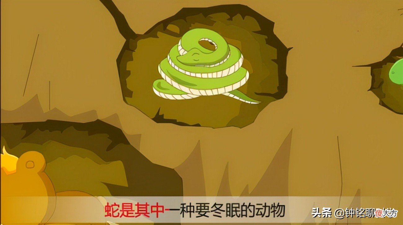 蛇冬眠有多危险 蛇冬眠是怎样的