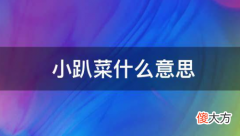 造梗大师| 小趴菜什么意思网络用语(小趴菜梗出处及含义)