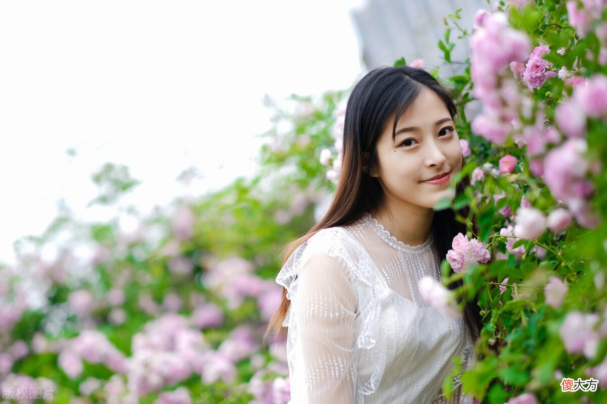 你可知蔷薇的花语和寓意是什么 蔷薇花寓意什么意思
