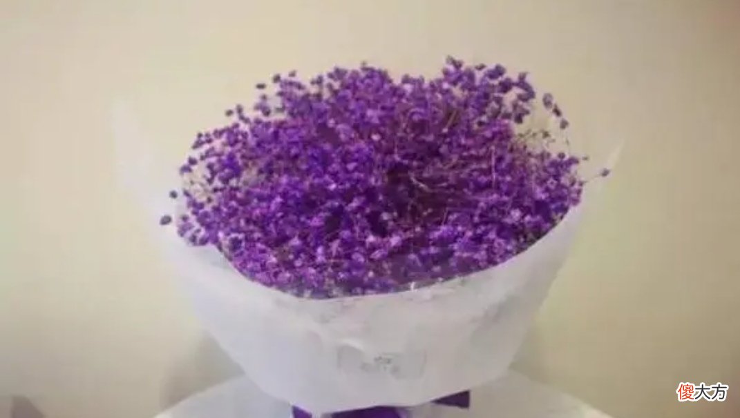 常用的花和它们所代表的花语 各种花分别代表的花语是什么