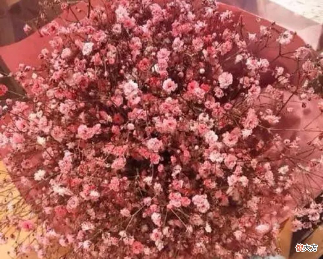 常用的花和它们所代表的花语 各种花分别代表的花语是什么