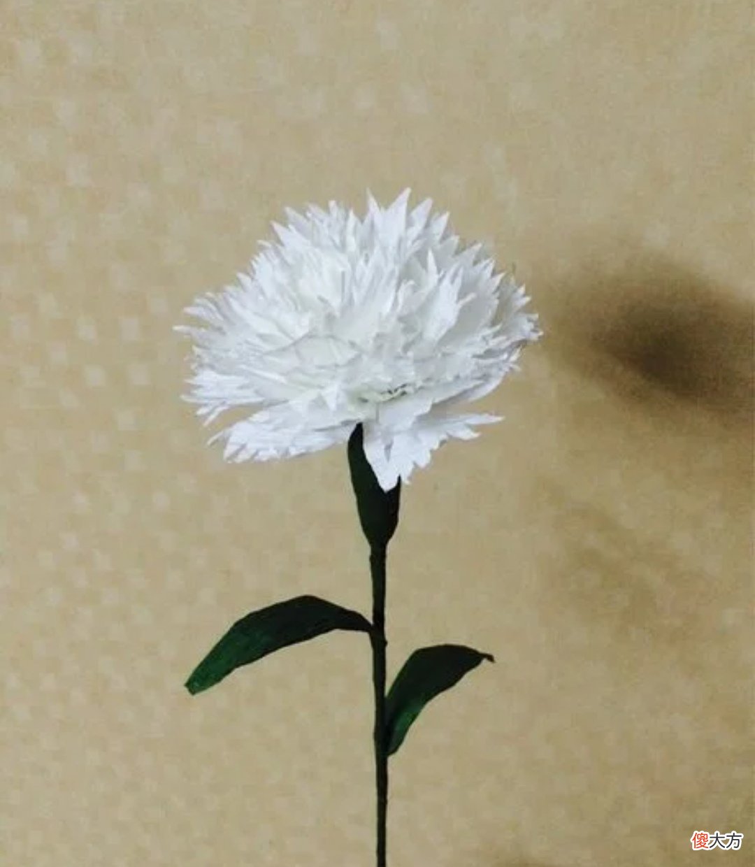 常用的花和它们所代表的花语 各种花分别代表的花语是什么