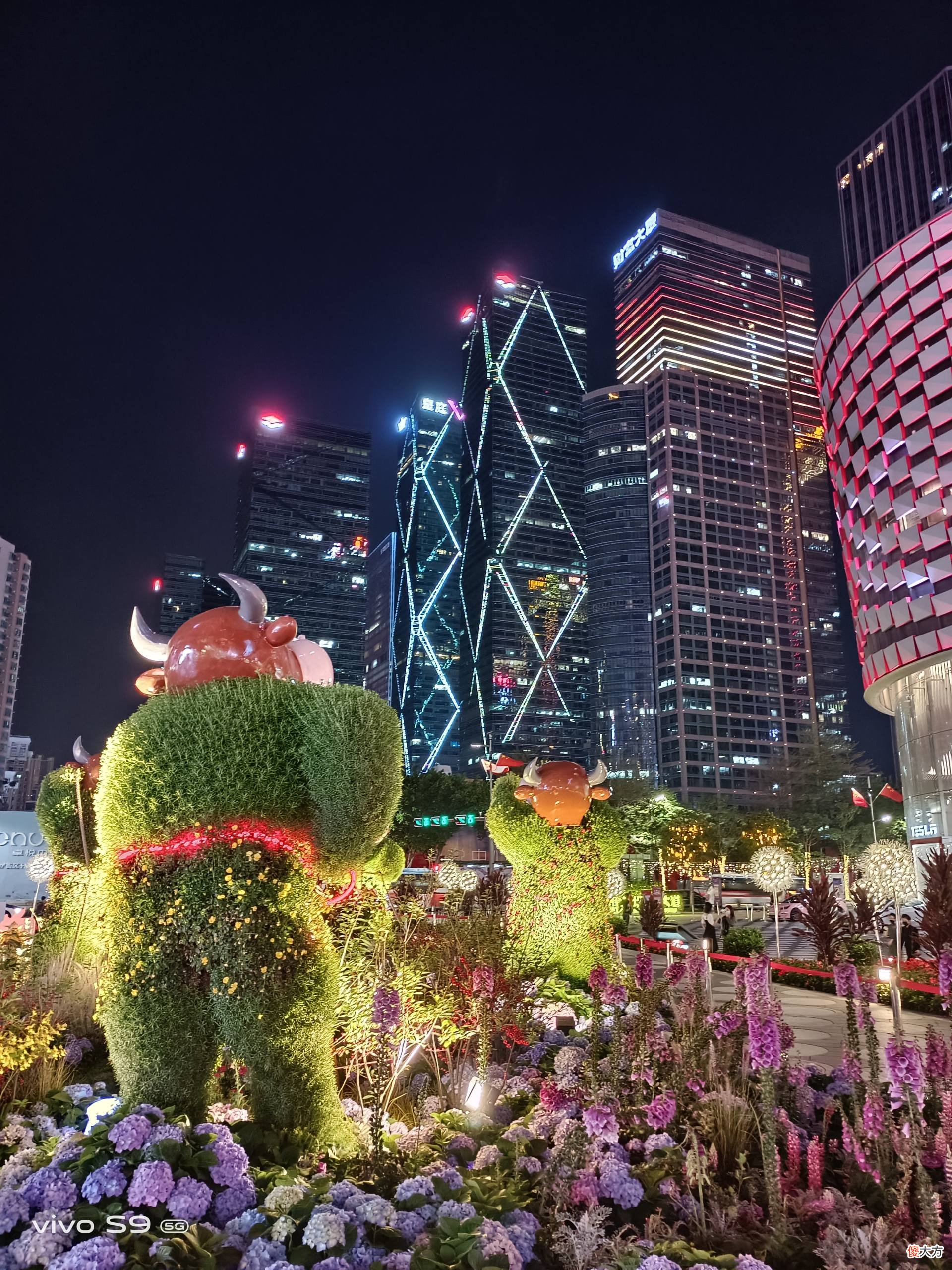 新增运动抓拍功能 运动抓拍模式