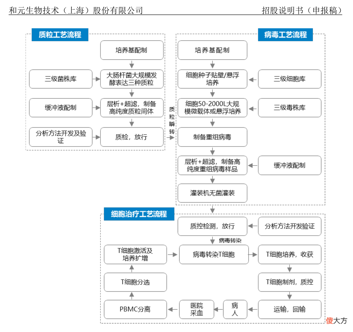细胞与基因疗法总集 细胞和基因疗法
