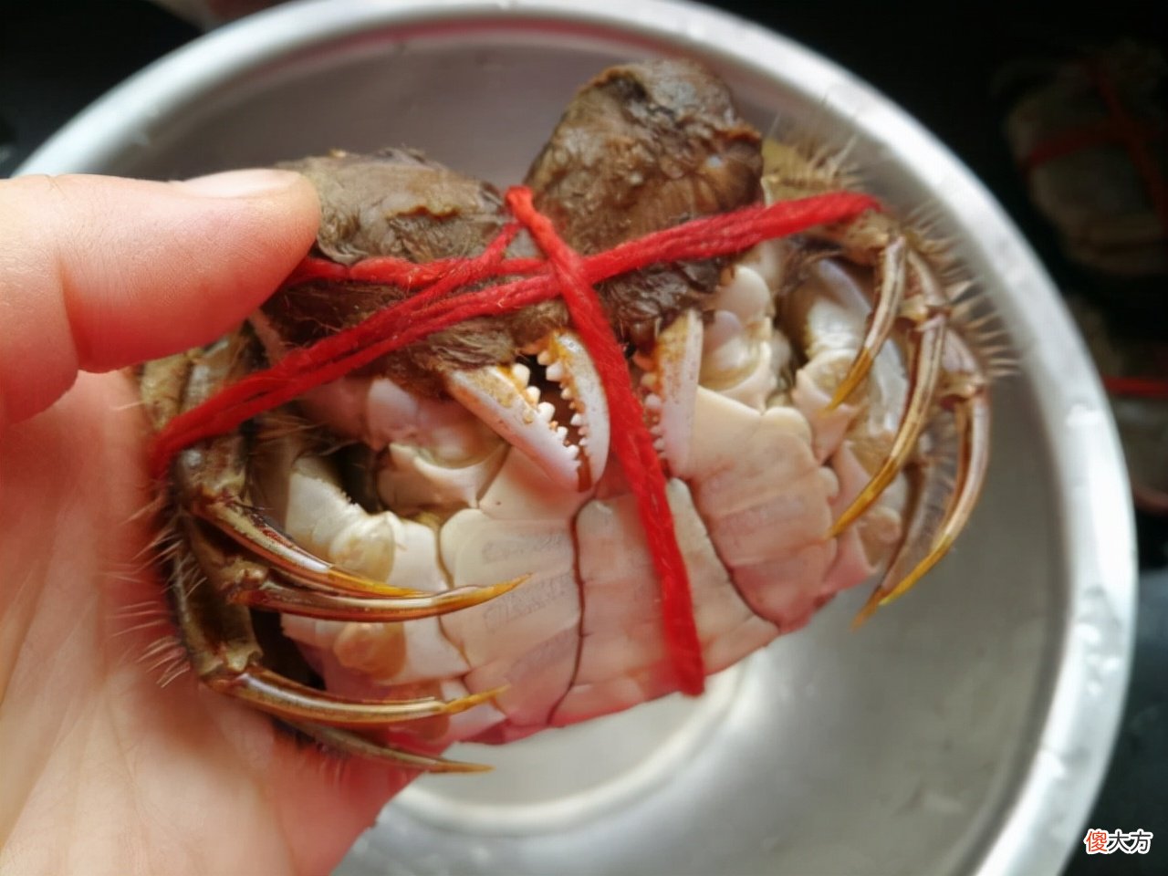 记得给家人吃这5种食物 适合一家人吃的东西