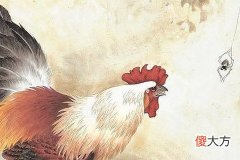 属相属鸡的富豪出生月份