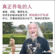 二 那些封王又封神的龟，你都知道吗？