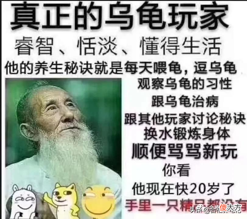 一 那些封王又封神的龟，你都知道吗？
