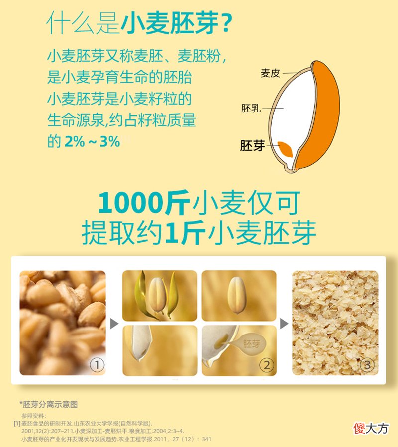营养又健康的小麦胚芽和燕麦片 小麦胚芽燕麦片和燕麦片的区别