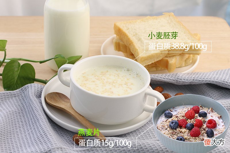 营养又健康的小麦胚芽和燕麦片 小麦胚芽燕麦片和燕麦片的区别