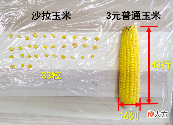 连吃5天沙拉能瘦多少斤 吃一星期沙拉能瘦几斤