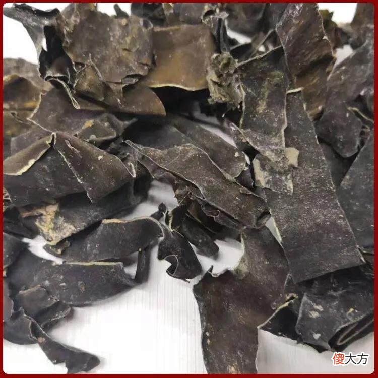 了解对药海藻配昆布的功效 昆布配海藻的功效与作用