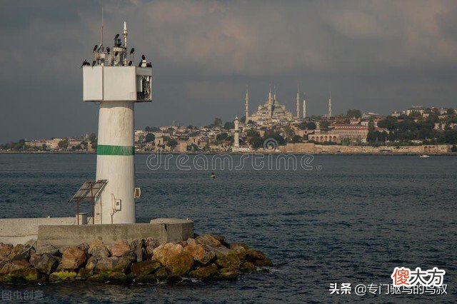 有效的智能激光驱鸟器之三 激光驱鸟器