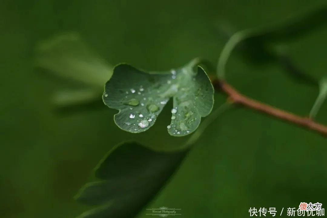 【十二星座】2022年，摆脱厄运，一顺百顺，涅槃重生，前程柳暗花明的三个生肖