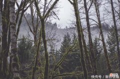 【星座控】5月，紫气东来，运势旺盛，财源广进，收入持续上升的三个生肖