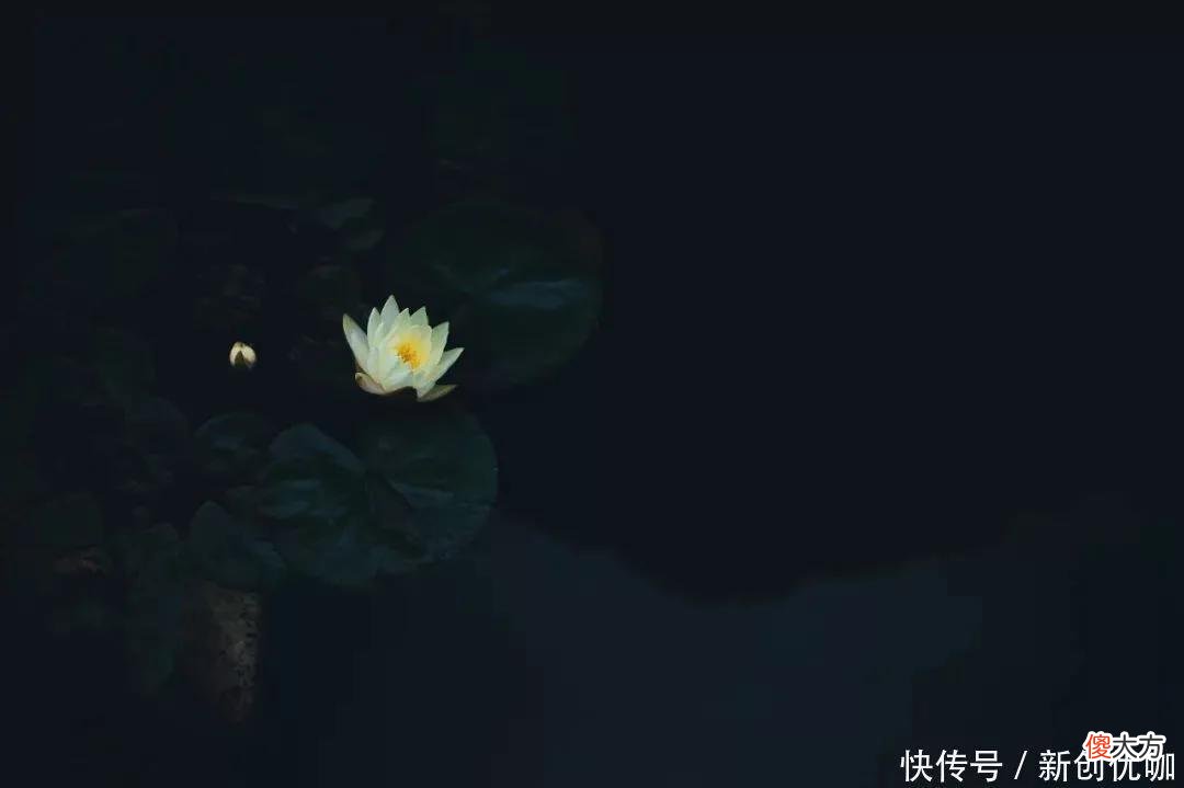 【星座控】5月，紫气东来，运势旺盛，财源广进，收入持续上升的三个生肖