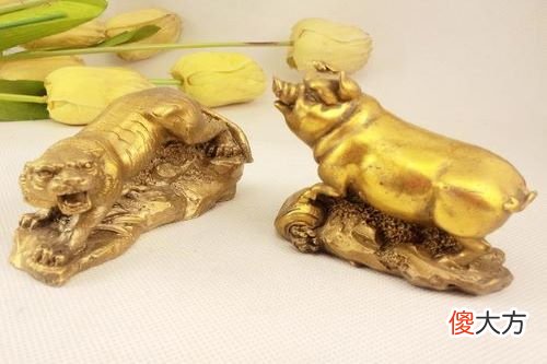 属虎和属猪相克怎么化解虎和猪相破怎么办(图文)