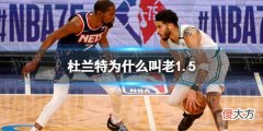 梗百科| 杜兰特为什么叫老1.5 老1.5杜兰特什么梗
