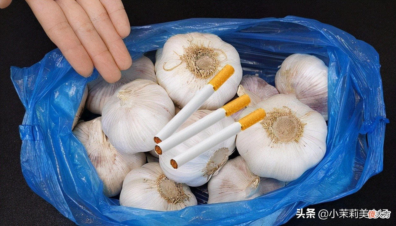 大蒜放久了容易干瘪长芽 大蒜干瘪发芽了还能用吗