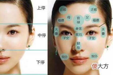 面相鼻子上有痣图解