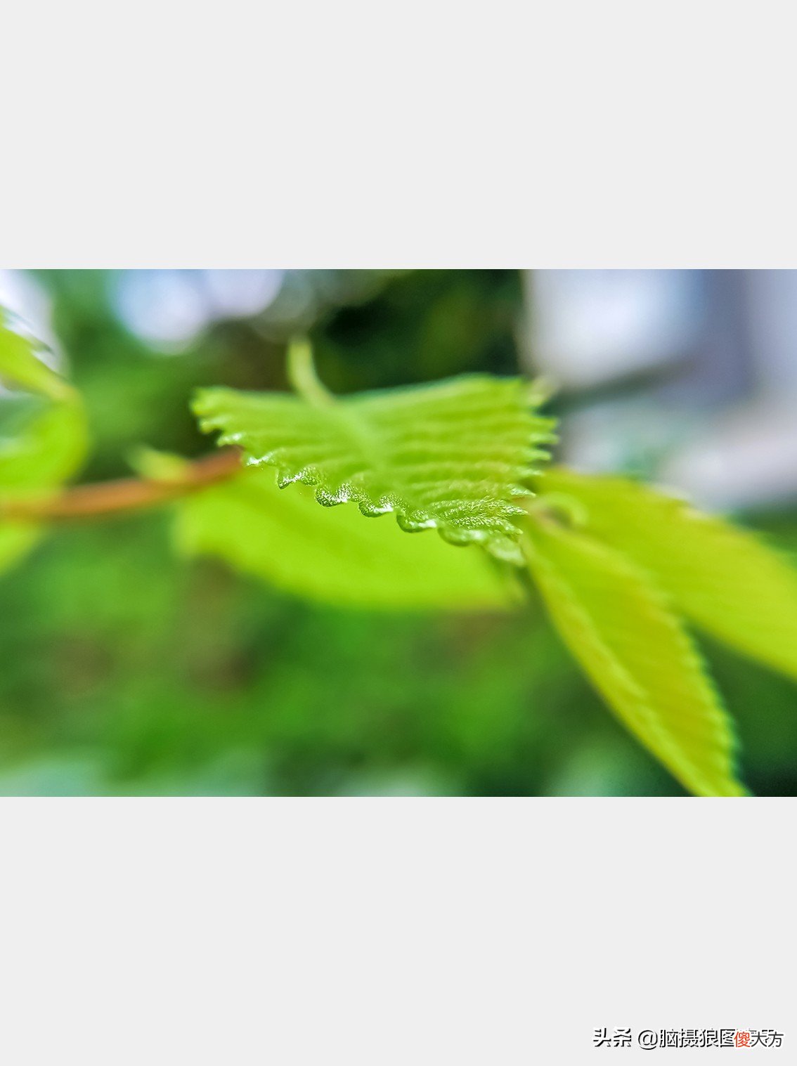 牢记这8个拍摄要点 拍摄的要点