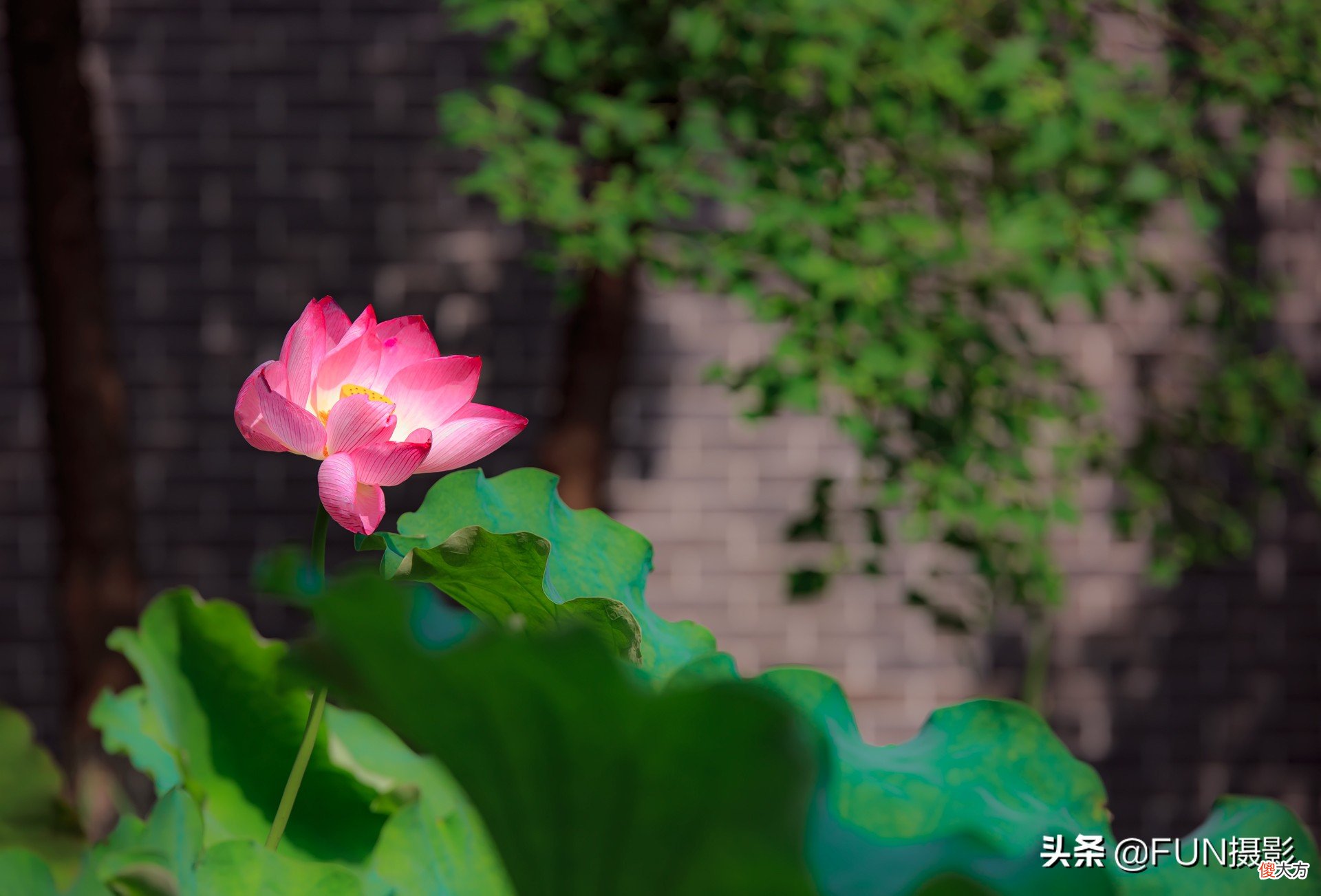 拍的照片不够锐利清晰 相机拍出来的照片不够清晰