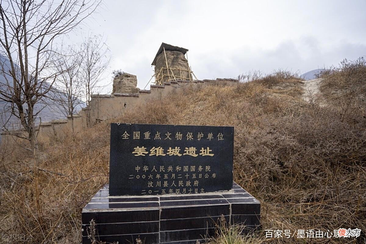 【爱历史】姜维平生最妙的计策，把灭蜀的功臣整垮，名臣钟会死于乱军