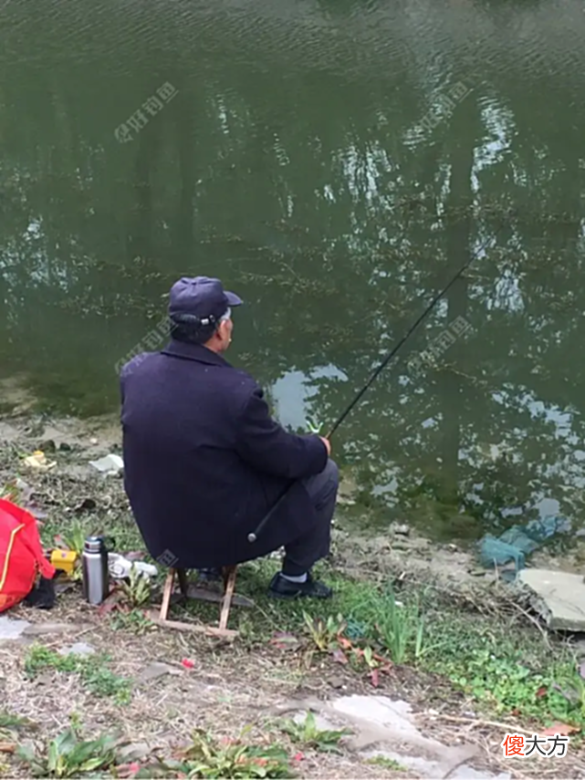 【历史故事】一只背插四根箭的乌龟，被老人钓鱼发现，没成想可以价值18亿