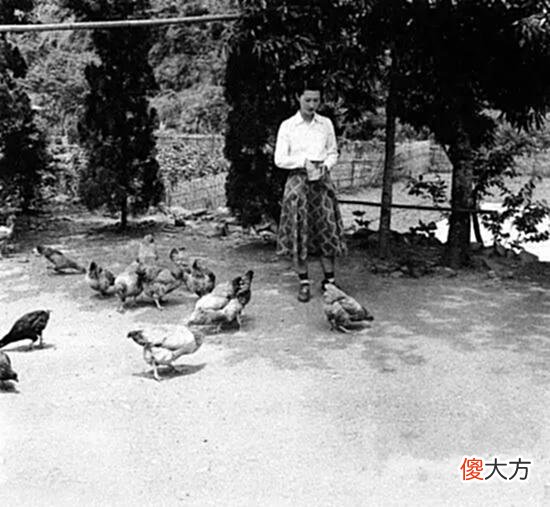 【爱历史】张学良和赵四小姐珍贵老照片，斯人已逝，爱情不变！