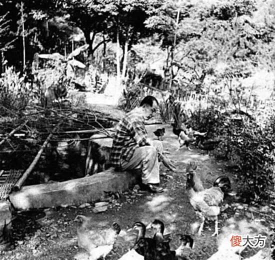 【爱历史】张学良和赵四小姐珍贵老照片，斯人已逝，爱情不变！