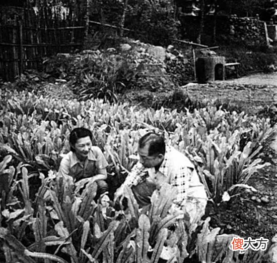 【爱历史】张学良和赵四小姐珍贵老照片，斯人已逝，爱情不变！