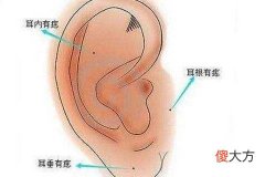 耳朵有痣的命运图解大全
