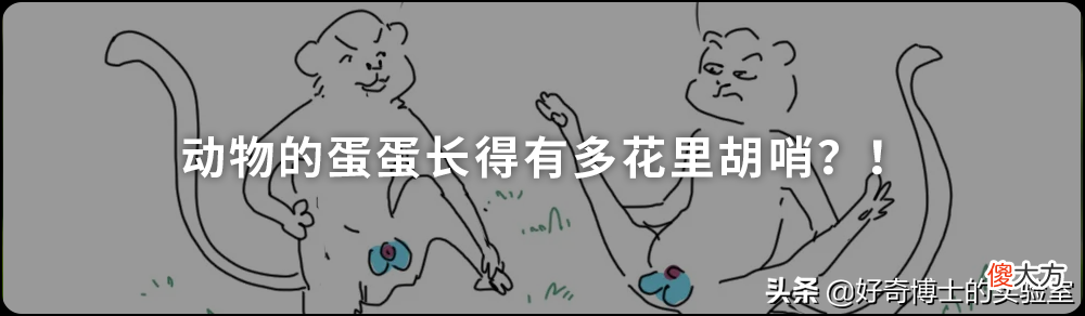 为什么动物都喜欢在春天交配 动物为什么在春天繁殖