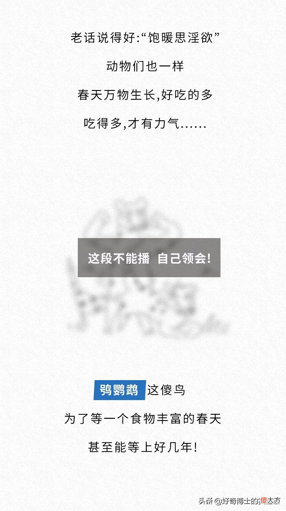 为什么动物都喜欢在春天交配 动物为什么在春天繁殖