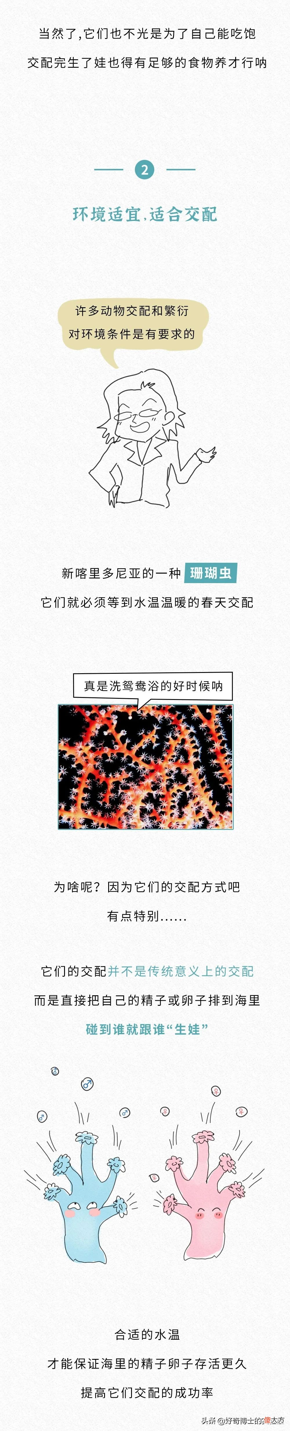 为什么动物都喜欢在春天交配 动物为什么在春天繁殖