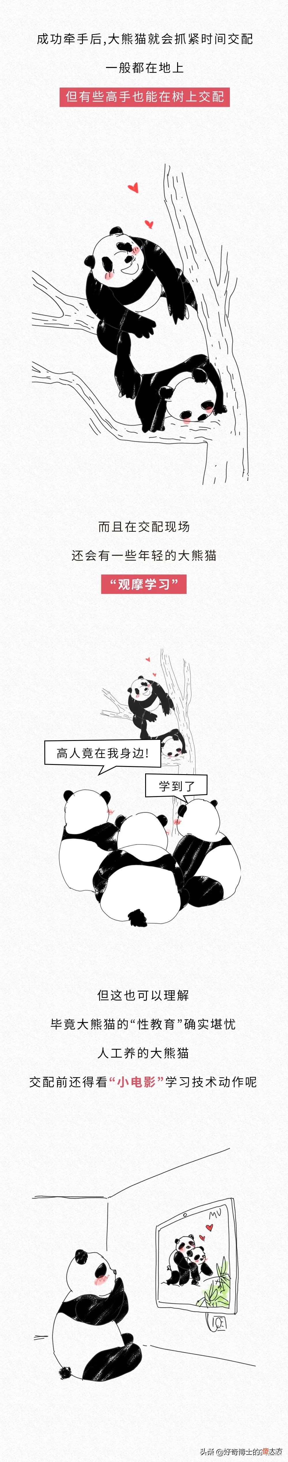 为什么动物都喜欢在春天交配 动物为什么在春天繁殖