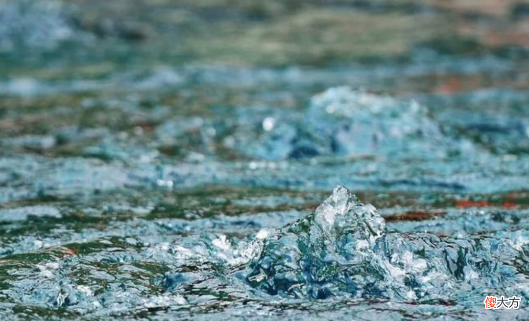 大多数雄性动物为啥交配和排尿共用一个器官 为什么雄性动物排尿和生殖