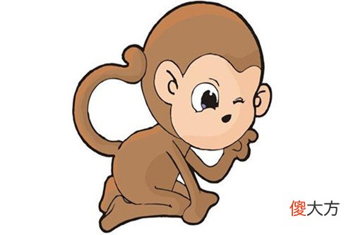 80年属猴人的一生子女运(图文)