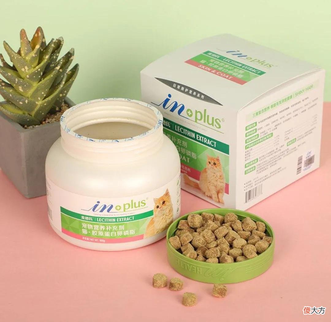 养猫你要知道的最有用和最没用的东西有哪些 养猫到底有什么用