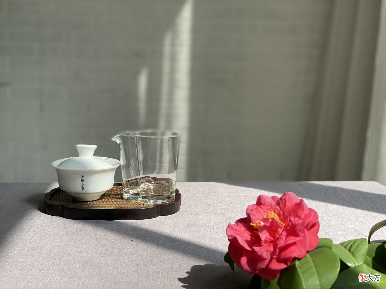金骏眉不是红茶 金骏眉是不是红茶
