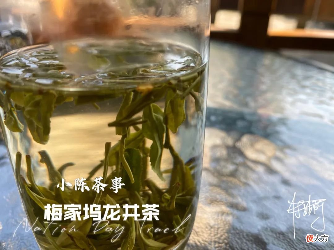 那么乌龙茶到底是红茶还是绿茶 乌龙是红茶还是绿茶好