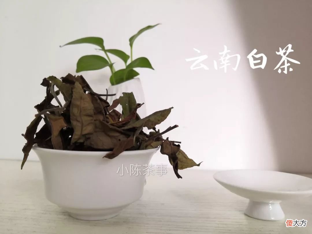那么乌龙茶到底是红茶还是绿茶 乌龙是红茶还是绿茶好