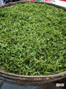 原来红茶不是长在红茶树上 红茶是长在树上的吗