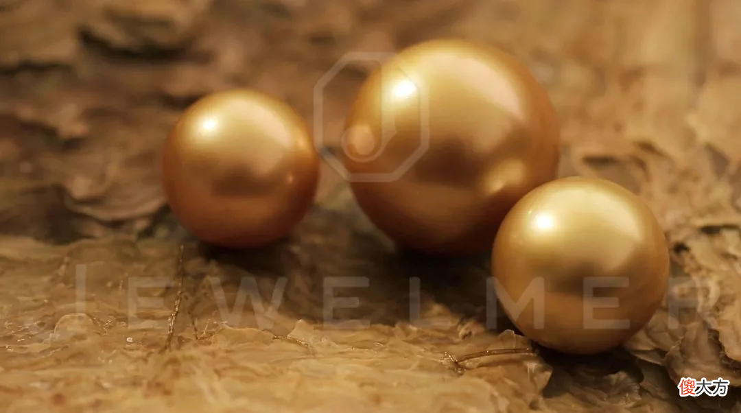 南洋金珠专题直播精彩集锦 南洋 金珠