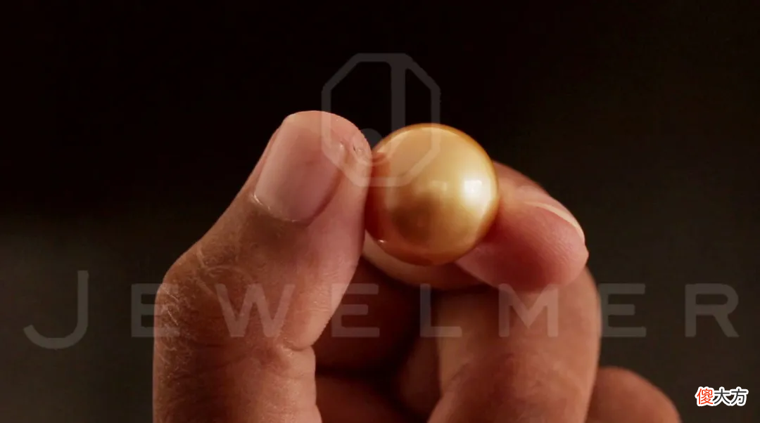 南洋金珠专题直播精彩集锦 南洋 金珠