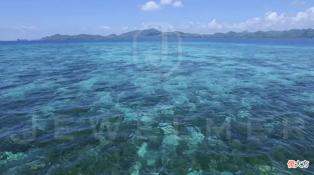 南洋金珠专题直播精彩集锦 南洋 金珠