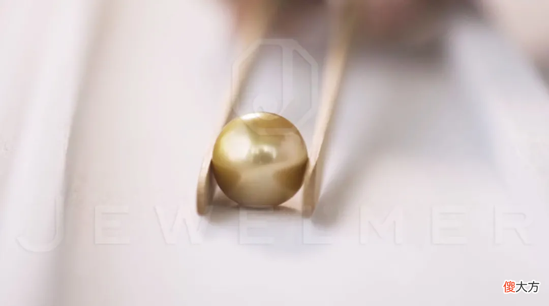 南洋金珠专题直播精彩集锦 南洋 金珠