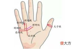 女人大富大贵的手相有何特点