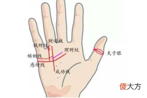 女人大富大贵的手相有何特点