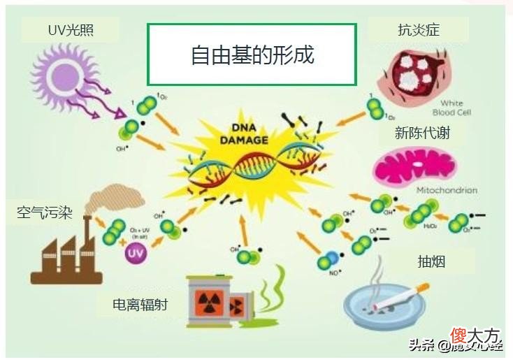 如何选适合自己的A醇产品 A醇产品推荐